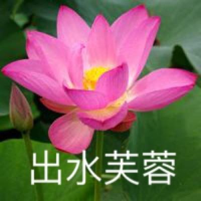 暴走精灵破解版下载